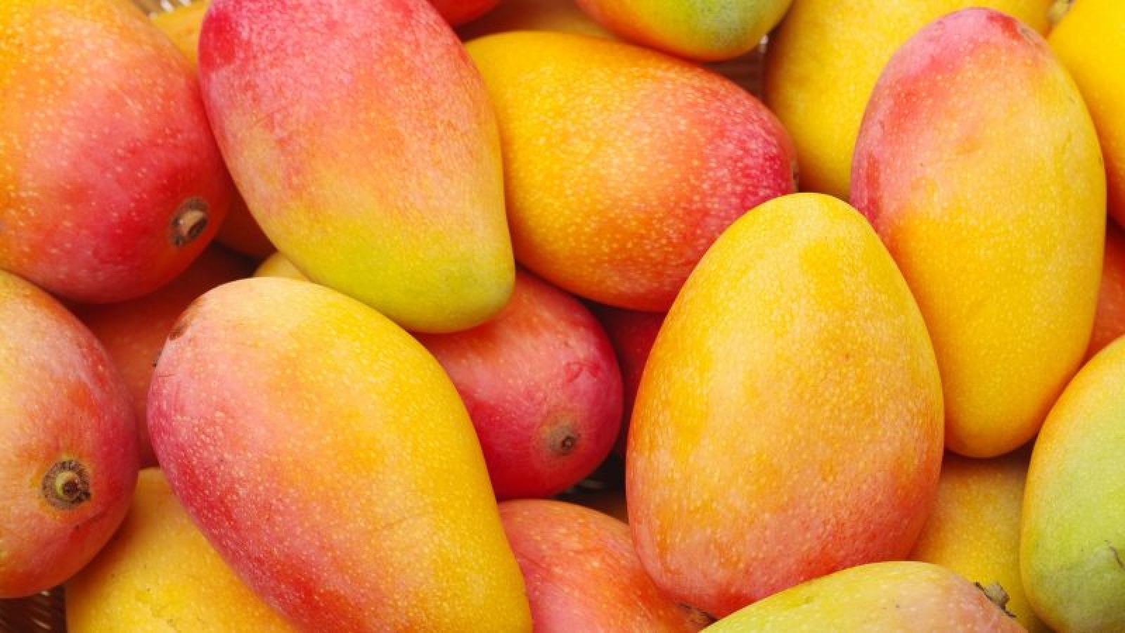 انبه