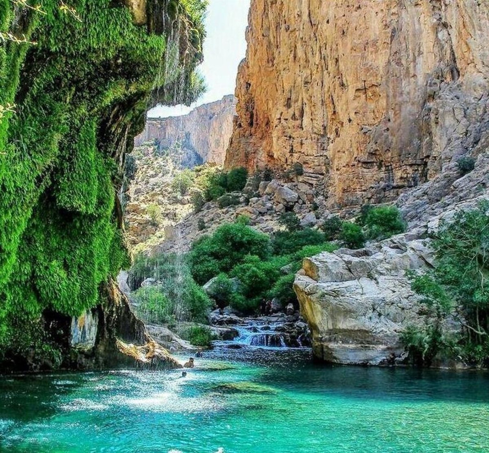 بهشت گمشده شیراز
