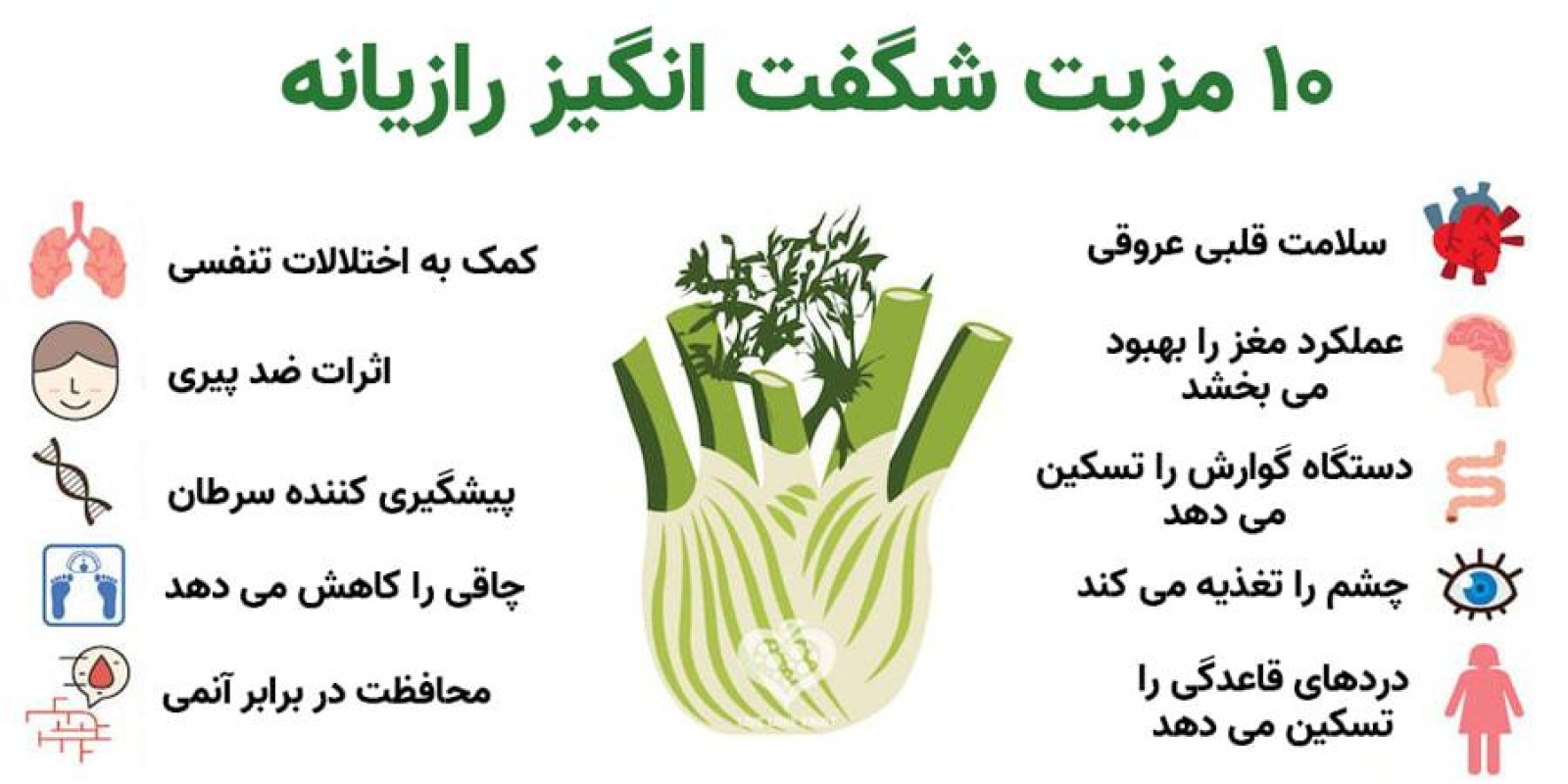 خواص رازیانه