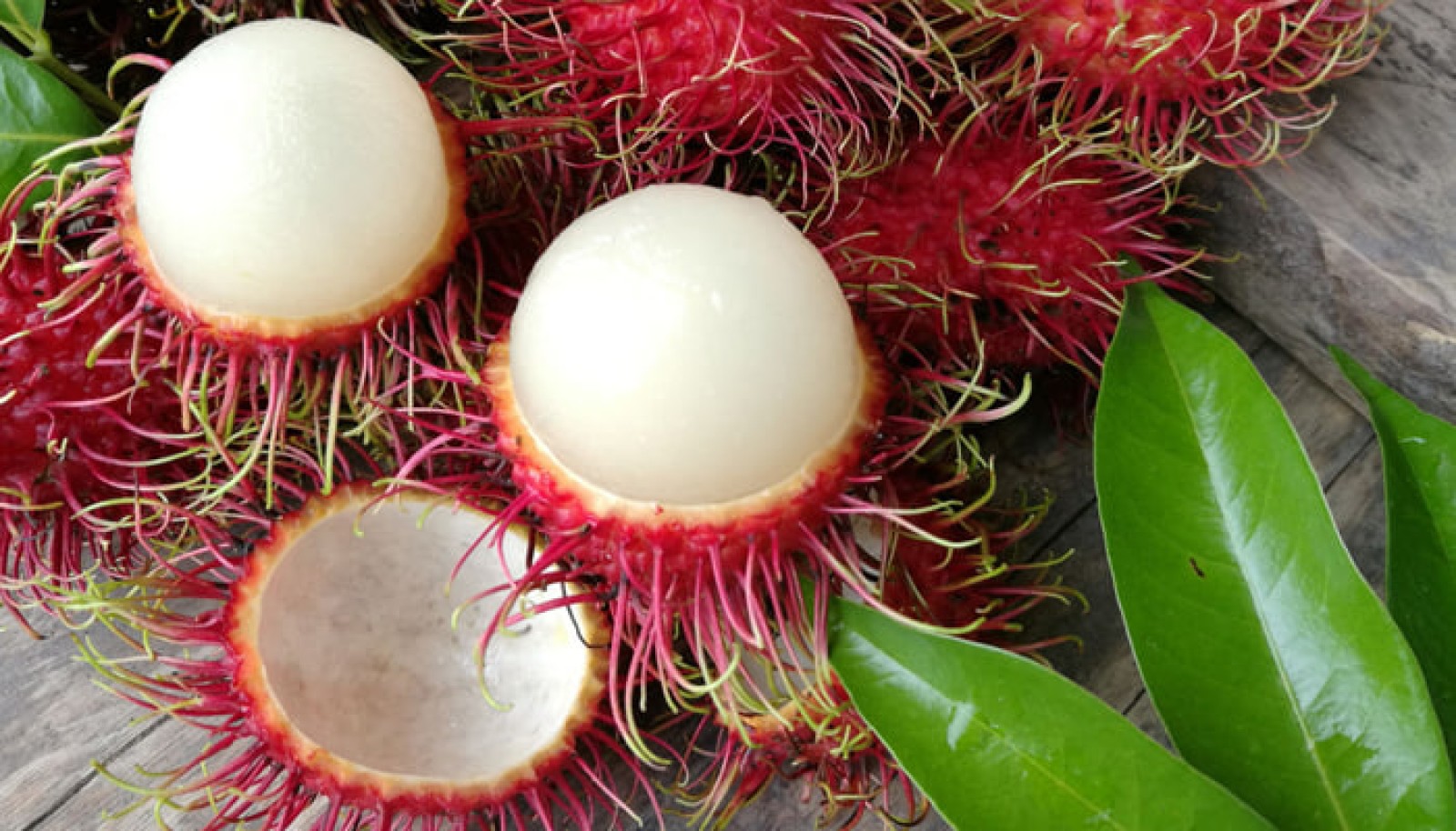 Rambutan رامبوتان