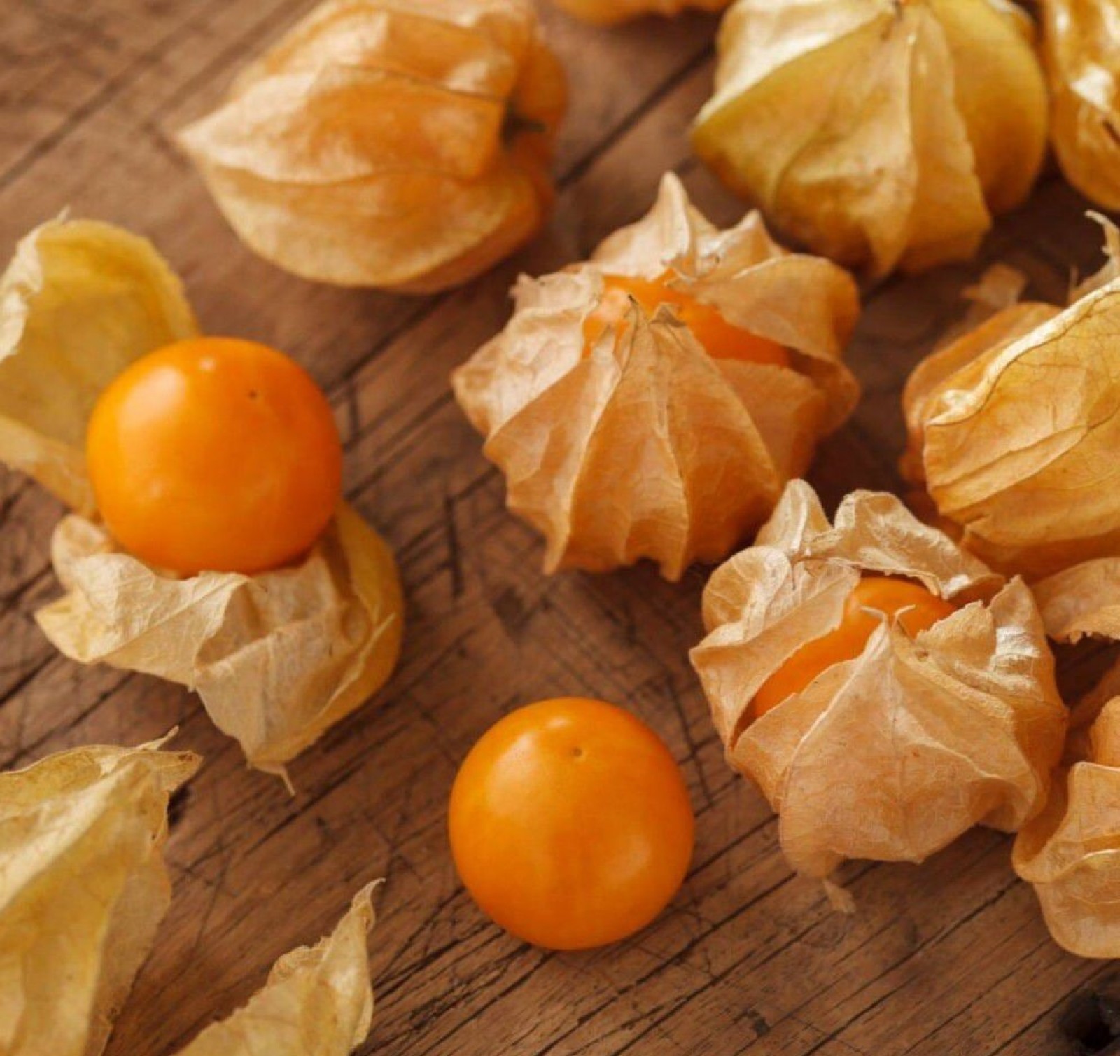 میوه فیسالیس (physalis)