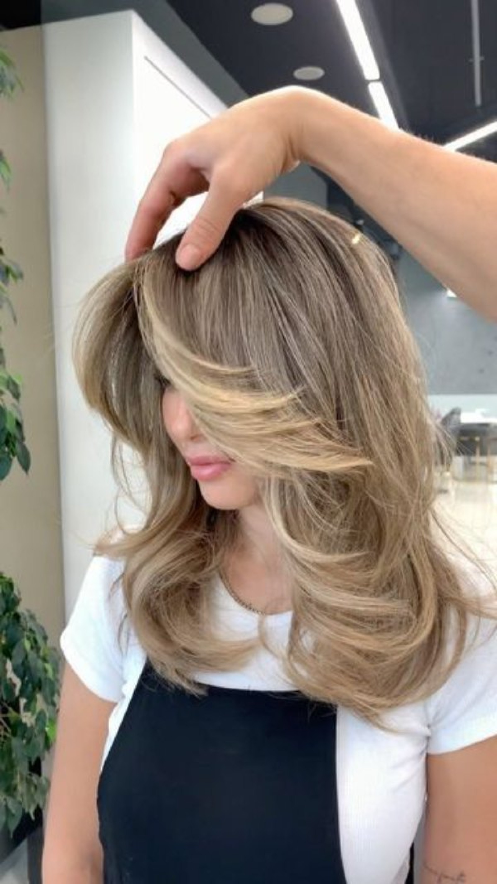 چتری پرده ای
