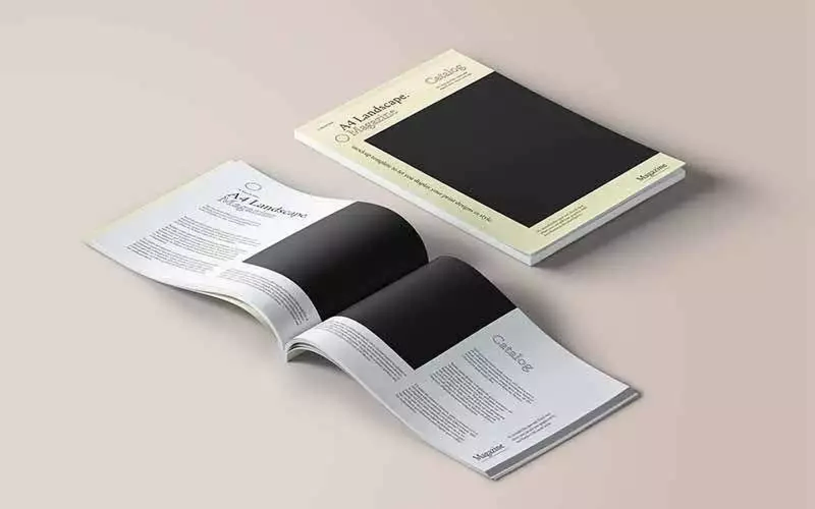 موضوعات مجله نویسی