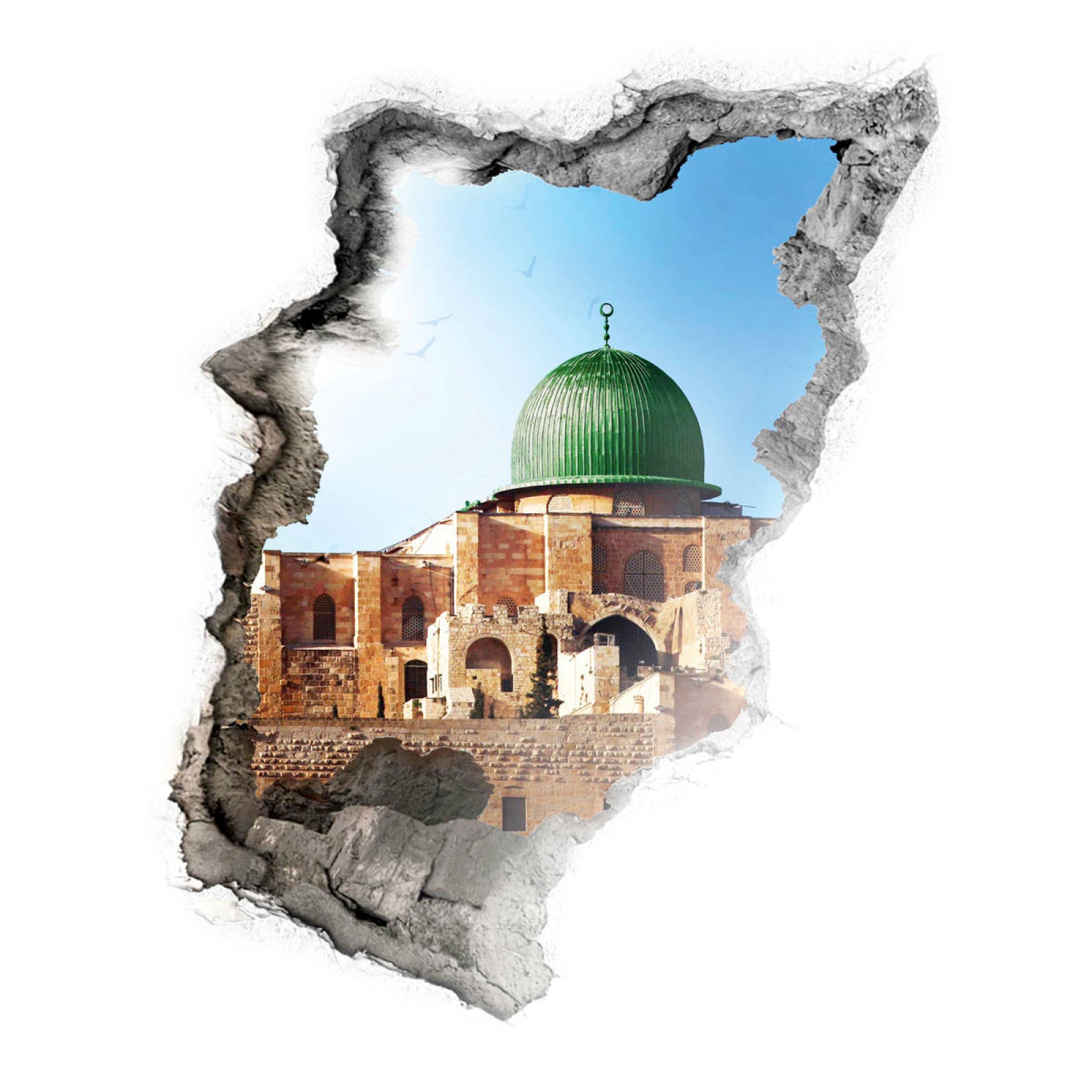 تقسیم بندی فلسطین