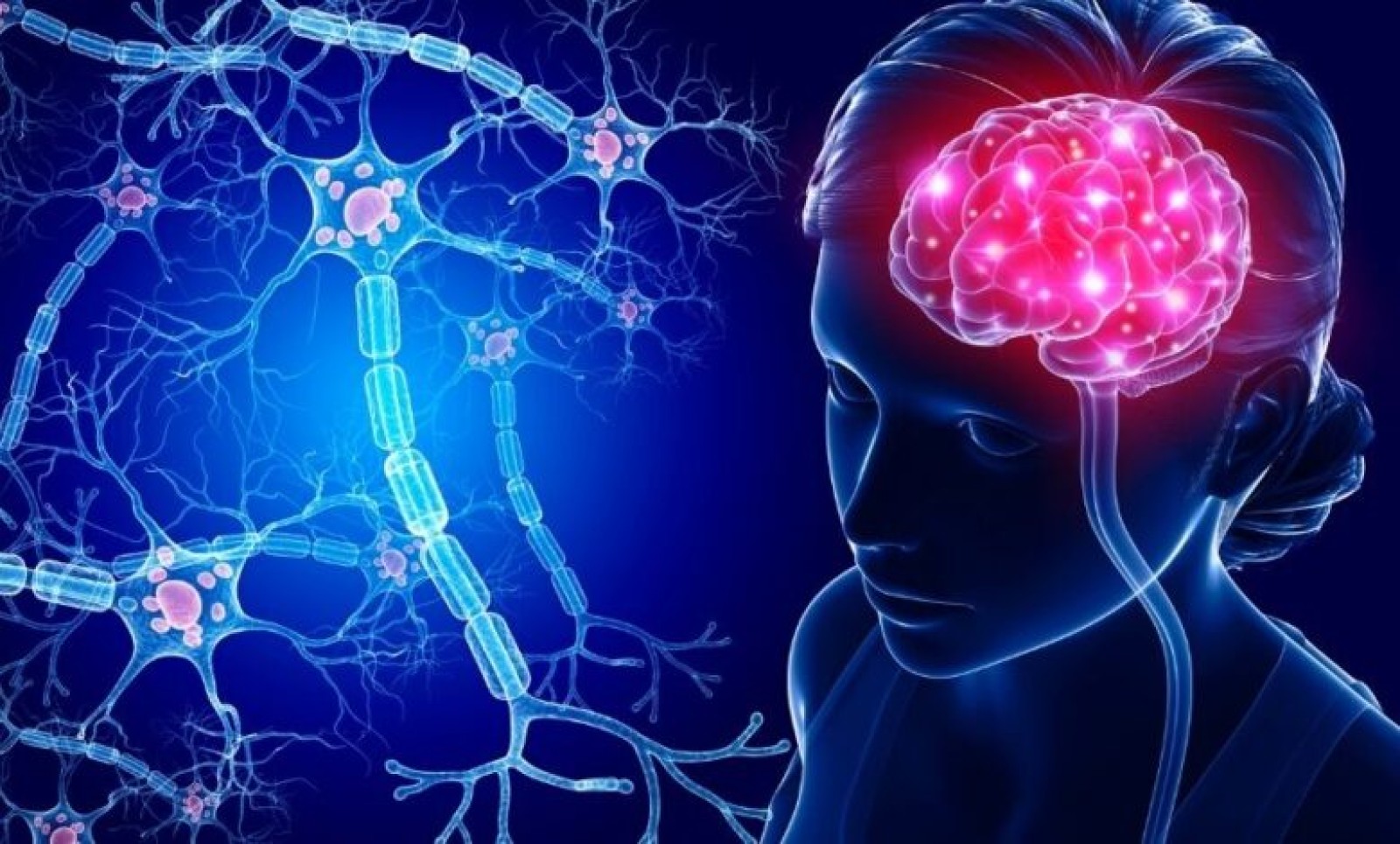 پردازش اطلاعات زمانی