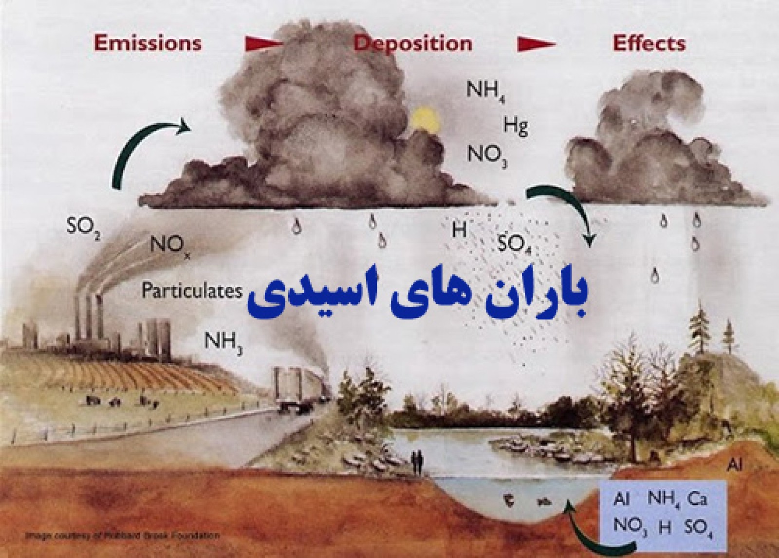 اثرات باران اسیدی