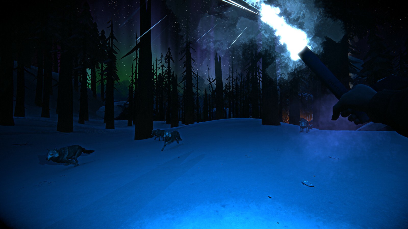 خواب و انرژی بازی the long dark