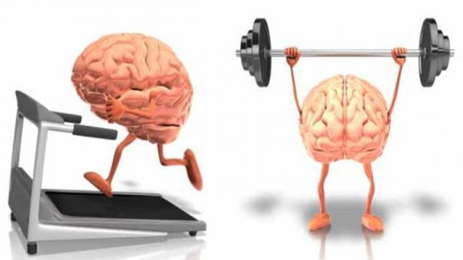 ورزش، تمرکز و یادگیری